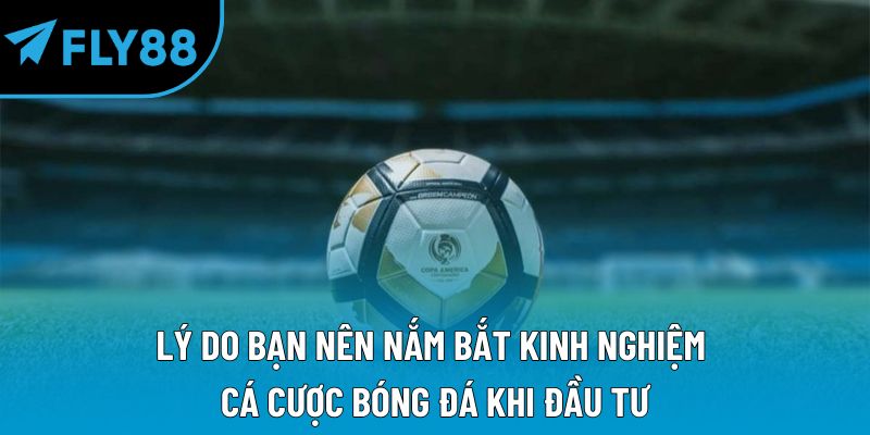Lý do bạn nên nắm bắt kinh nghiệm cá cược bóng đá khi đầu tư
